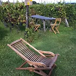 Çiftlik konaklama Cascina La Maddalena Bed & Wine