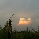 卡希纳马达莱纳葡萄酒旅馆 农家乐