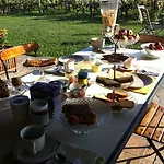 卡希纳马达莱纳葡萄酒旅馆 农家乐 Rocca Grimalda