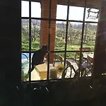卡希纳马达莱纳葡萄酒旅馆 农家乐
