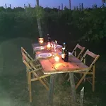 卡希纳马达莱纳葡萄酒旅馆 * Rocca Grimalda