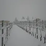 Çiftlik konaklama Cascina La Maddalena Bed & Wine