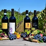 Cascina La Maddalena Bed & Wine Çiftlik konaklama