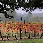Cascina La Maddalena Bed & Wine Çiftlik konaklama Rocca Grimalda