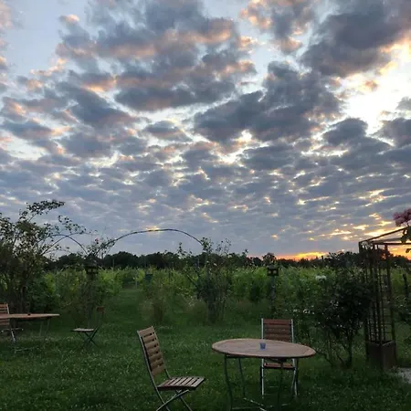 Farm stay Cascina La Maddalena Bed & Wine Rocca Grimalda