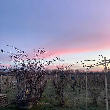 Cascina La Maddalena Bed & Wine *