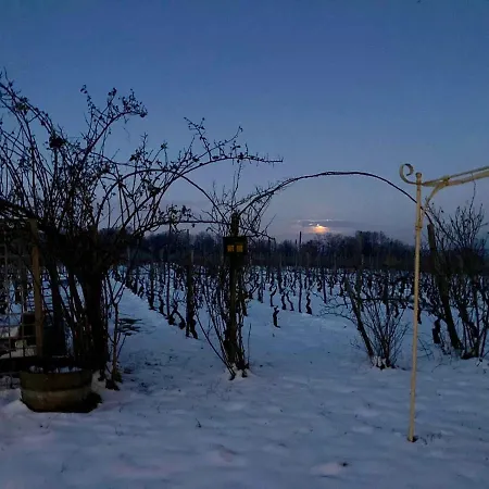 Farm stay Cascina La Maddalena Bed & Wine *