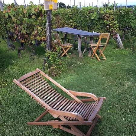 Çiftlik konaklama Cascina La Maddalena Bed & Wine