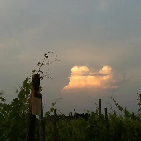 Cascina La Maddalena Bed & Wine Çiftlik konaklama