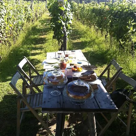Cascina La Maddalena Bed&wine * Rocca Grimalda