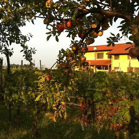 Cascina La Maddalena Bed & Wine Farm stay