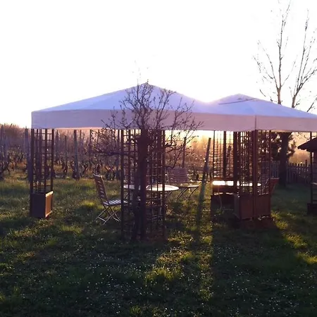 Cascina La Maddalena Bed & Wine Farm stay *