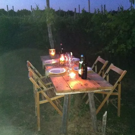 Cascina La Maddalena Bed&wine * Rocca Grimalda