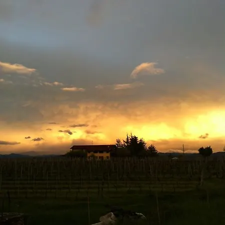 Cascina La Maddalena Bed & Wine Rocca Grimalda