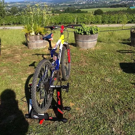 Cascina La Maddalena Bed & Wine Farm stay *