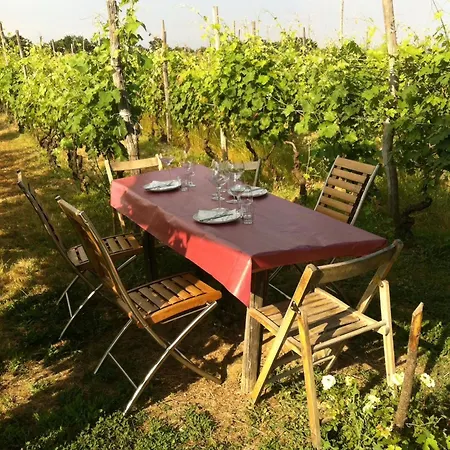 בית חווה Cascina La Maddalena Bed & Wine