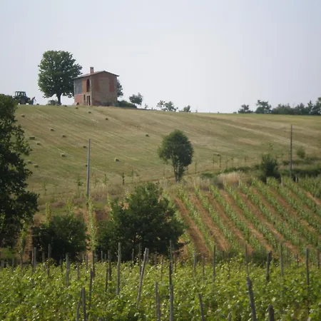 Cascina La Maddalena Bed & Wine