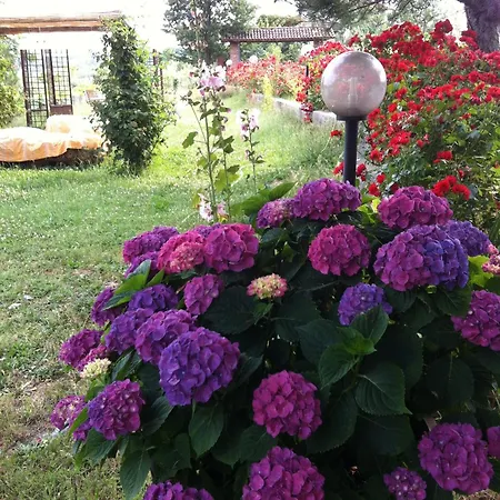 Cascina La Maddalena Bed & Wine *