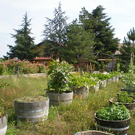 Cascina La Maddalena Bed & Wine