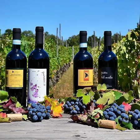Cascina La Maddalena Bed & Wine בית חווה