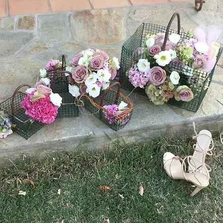 Cascina La Maddalena Bed & Wine Rocca Grimalda