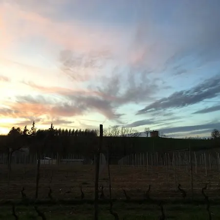 Cascina La Maddalena Bed&wine * Rocca Grimalda