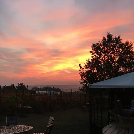 Çiftlik konaklama Cascina La Maddalena Bed & Wine