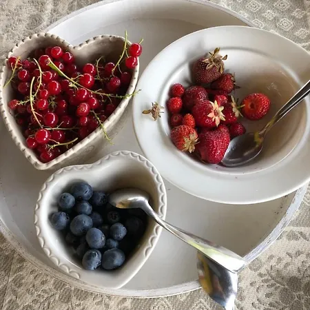 Cascina La Maddalena Bed & Wine مزرعة للإقامة