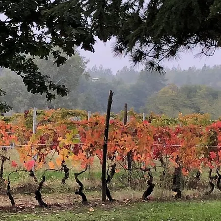 Cascina La Maddalena Bed & Wine ファームステイ Rocca Grimalda