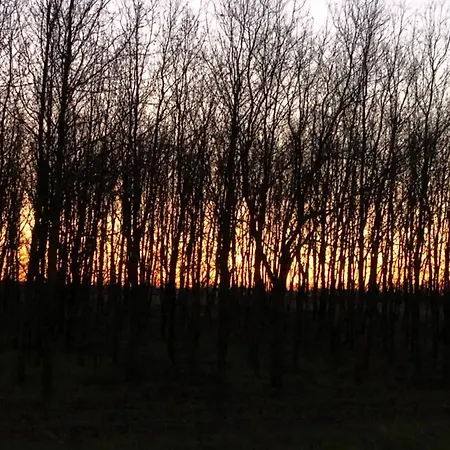 Çiftlik konaklama Cascina La Maddalena Bed & Wine