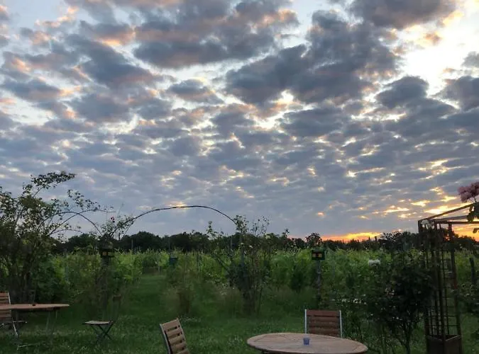 ファームステイ Cascina La Maddalena Bed & Wine Rocca Grimalda