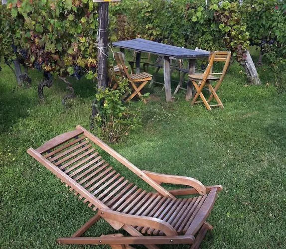 Gospodarstwo agroturystyczne Cascina La Maddalena Bed & Wine