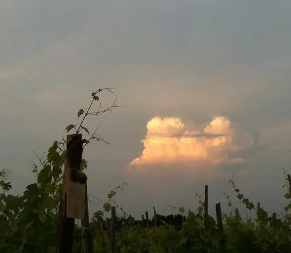 Cascina La Maddalena Bed & Wine ファームステイ