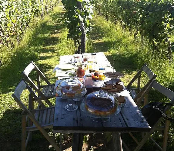 Cascina La Maddalena Bed & Wine * Rocca Grimalda