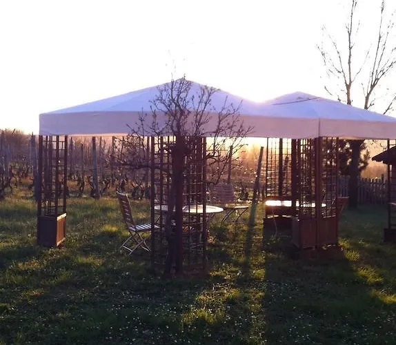 Cascina La Maddalena Bed & Wine ファームステイ *