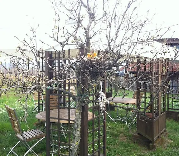 ファームステイ Cascina La Maddalena Bed & Wine Rocca Grimalda