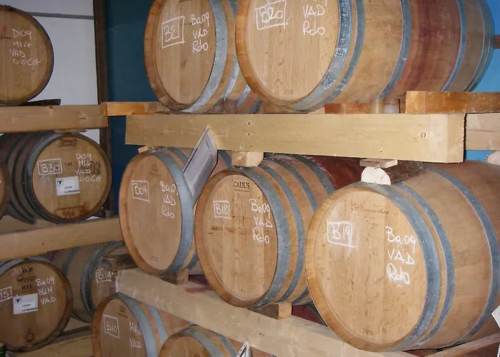 Cascina La Maddalena Bed & Wine ファームステイ Rocca Grimalda