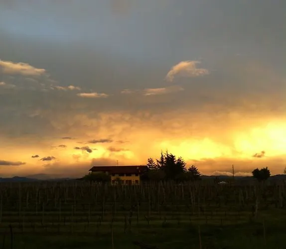 Cascina La Maddalena Bed & Wine Rocca Grimalda