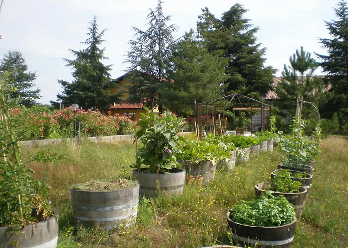 Cascina La Maddalena Bed & Wine