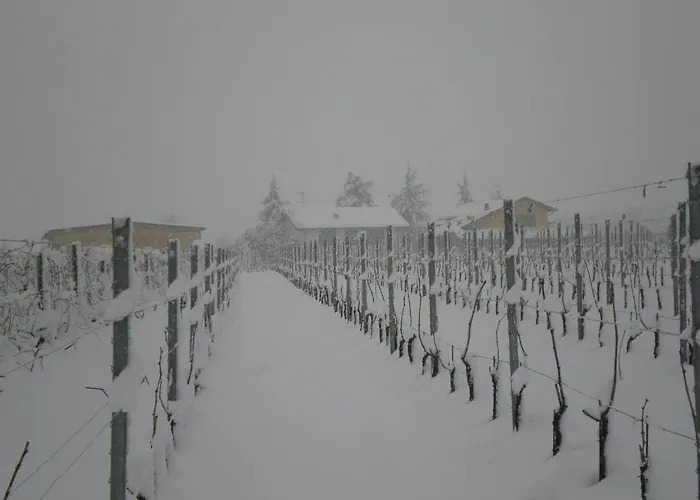 ファームステイ Cascina La Maddalena Bed & Wine