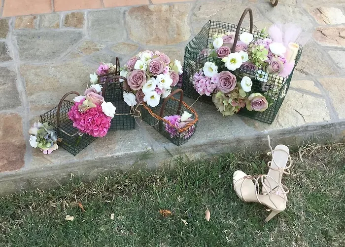 Cascina La Maddalena Bed & Wine Rocca Grimalda