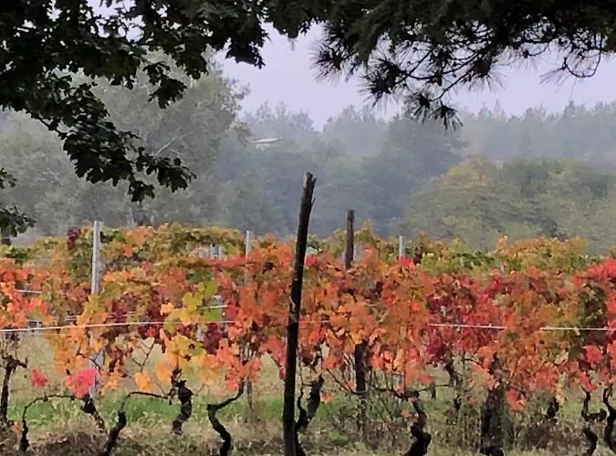 Cascina La Maddalena Bed & Wine ファームステイ Rocca Grimalda