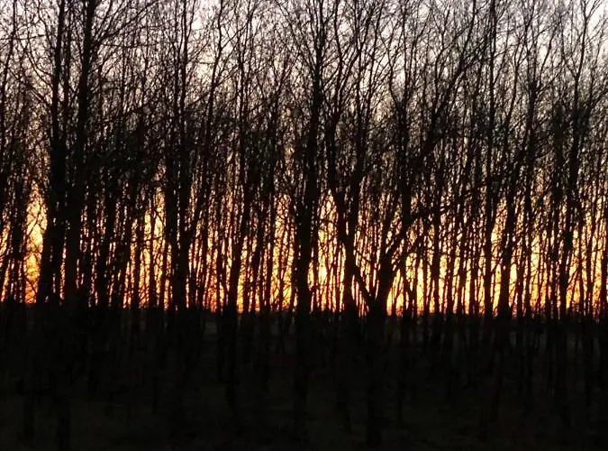 ファームステイ Cascina La Maddalena Bed & Wine